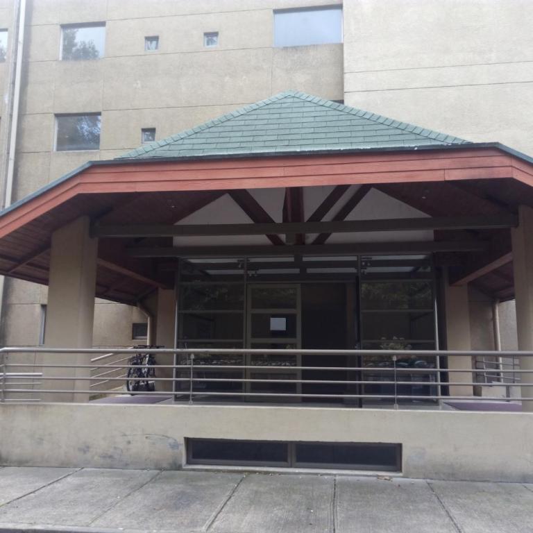 Villarrica Mirador Apartment - Apartamento Estándar - 4