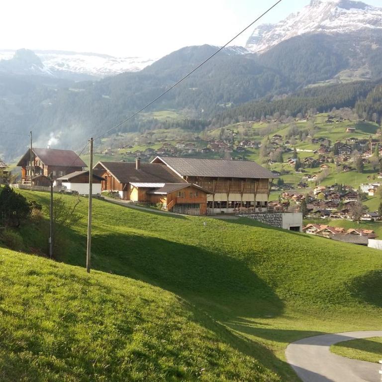 Chalet Bärgblick - Apartment mit 1 Schlafzimmer - 33