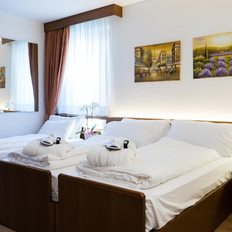 Hotel Collini - Habitación Doble Superior - 1 o 2 camas - 6