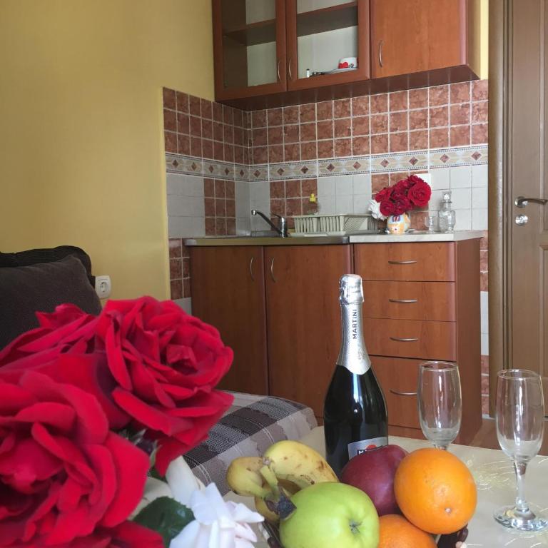 Sunny Villa Apartments - Apartman sa Balkonom - 3