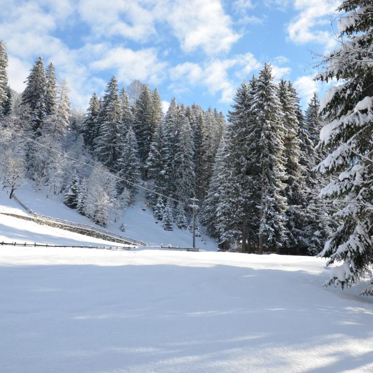 Haus am Sunnfeld - Apartment mit Blick auf die Berge - 31