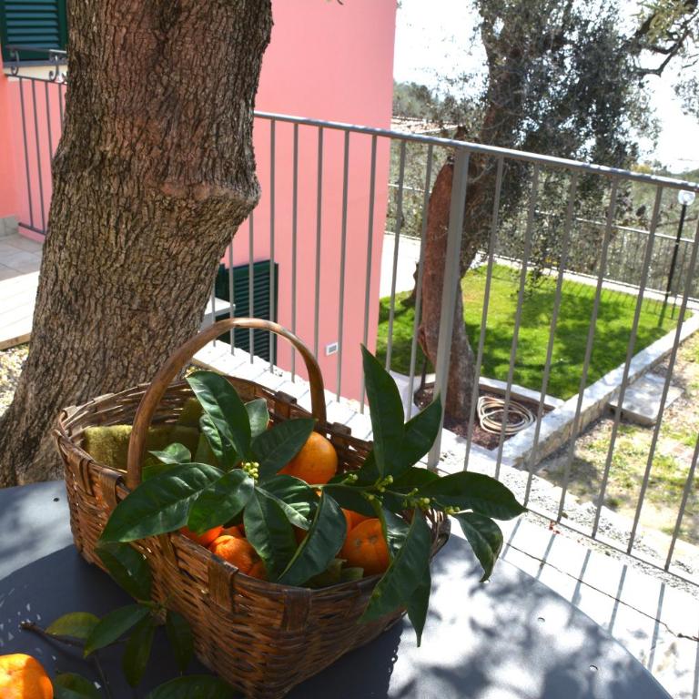 La Torretta - Casa Vacanze - 11