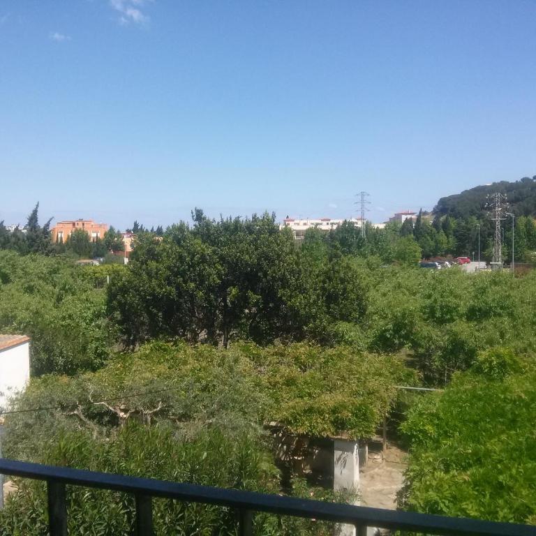 Acogedor apartamento en el centro de Llançà - Apartamento de 1 dormitorio - 16