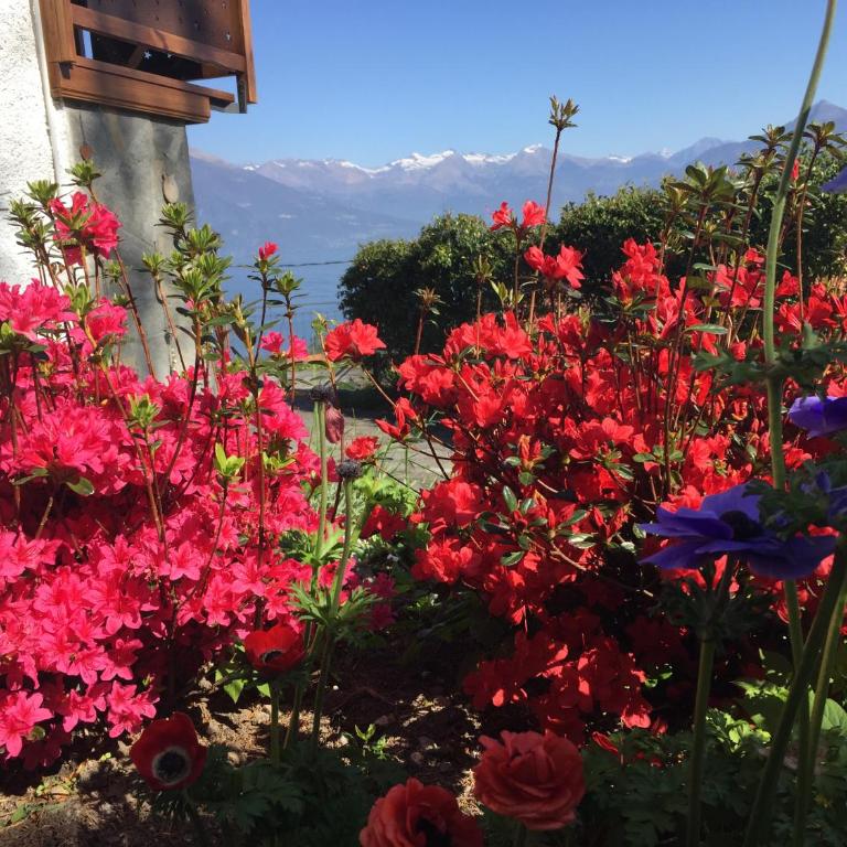 Bellagio Les Etoiles - Casa Vacanze - 75