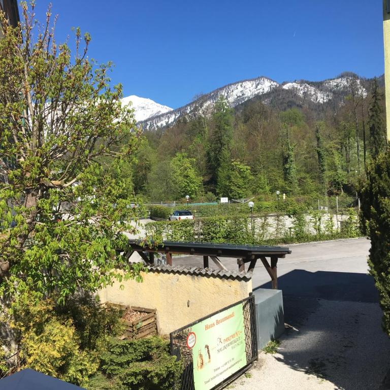 Apartment Haus Braumandl - Apartment Sisi mit Balkon und Bergblick - 8