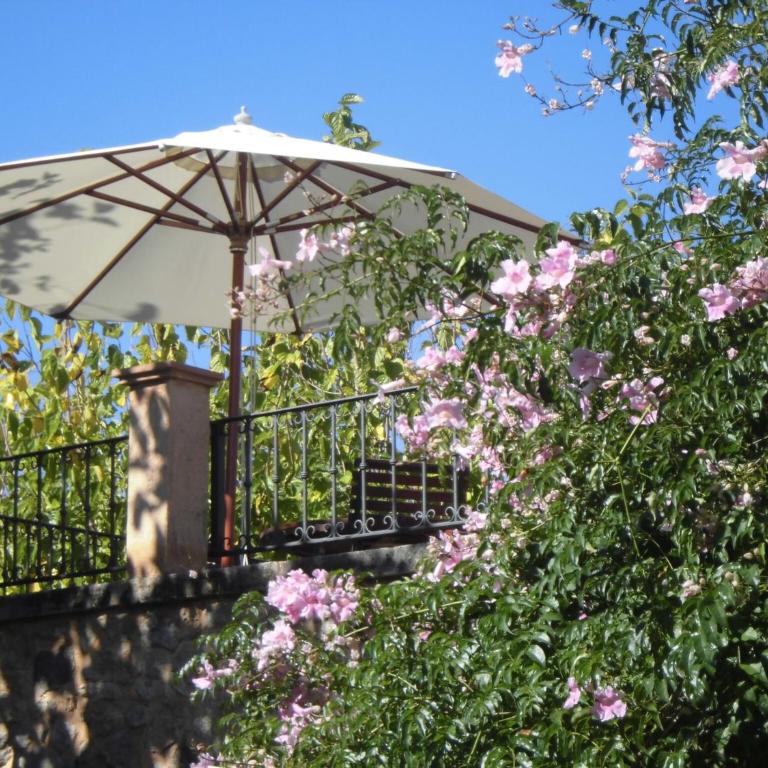 Agroturismo Na Set Centes - Adults Only - Suite - 2