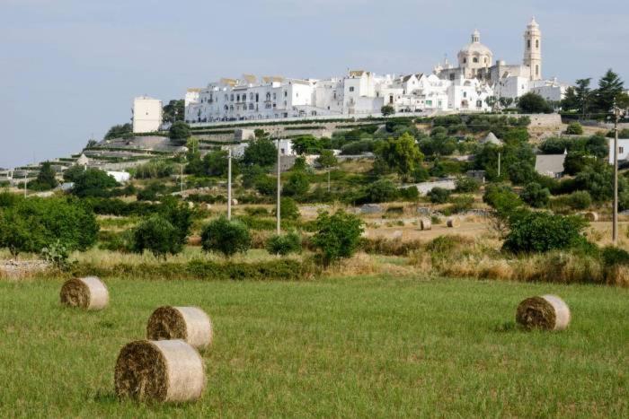 I Trulli del Mulino - Casa Vacanze - 25