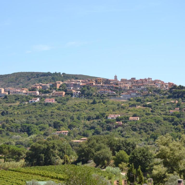 Appartamenti Gli Alberi - Appartamento con 2 Camere da Letto e Terrazza - 6