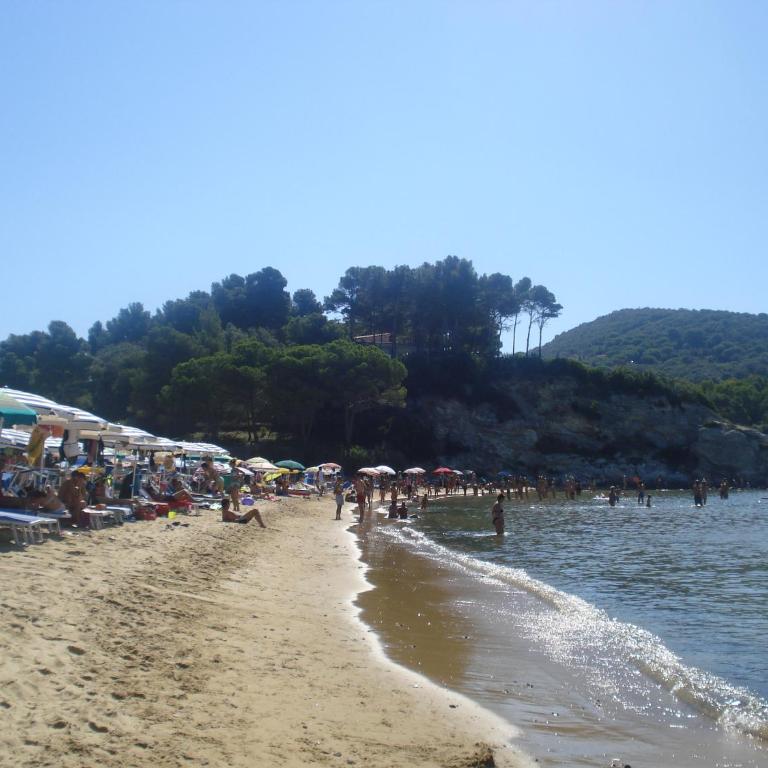 Appartamenti Gli Alberi - Appartamento con 2 Camere da Letto e Terrazza - 2