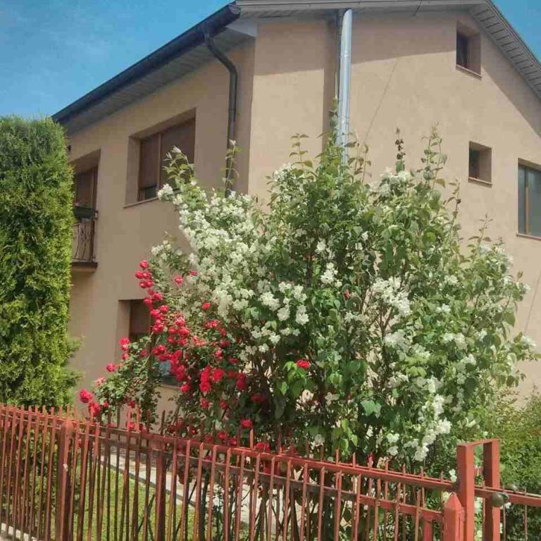House Leyla - Three-Bedroom House - 1