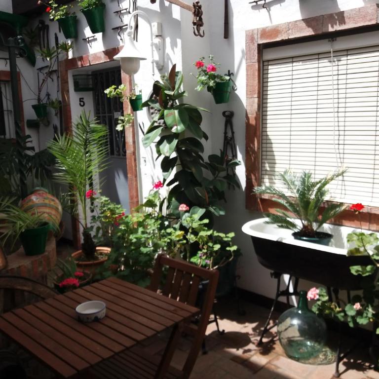Casa Museo Jerez Centro - Apartamento de 1 dormitorio - 60