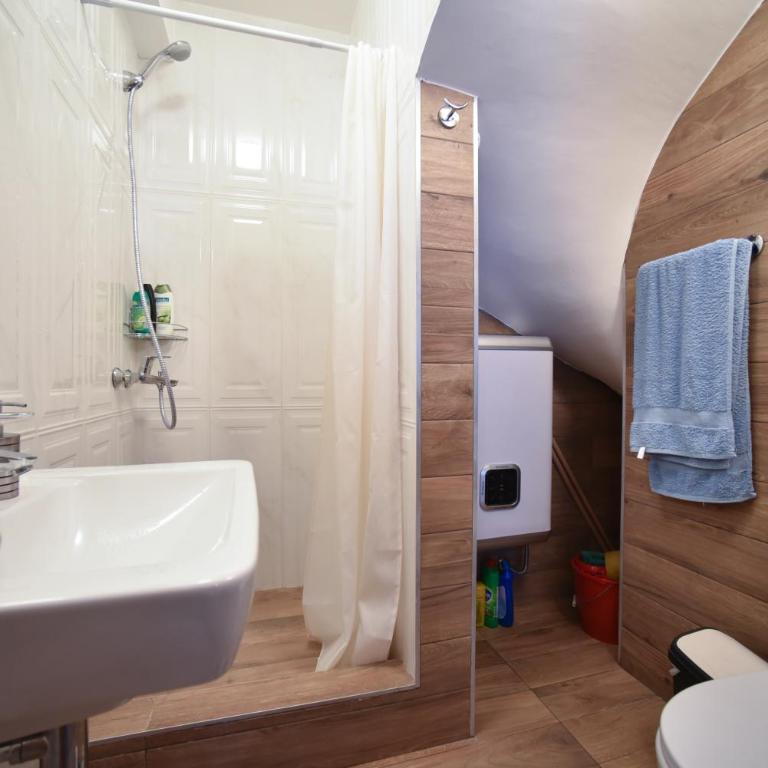 Villa Old Olive 2 - Vila sa Sopstvenim Bazenom - 17