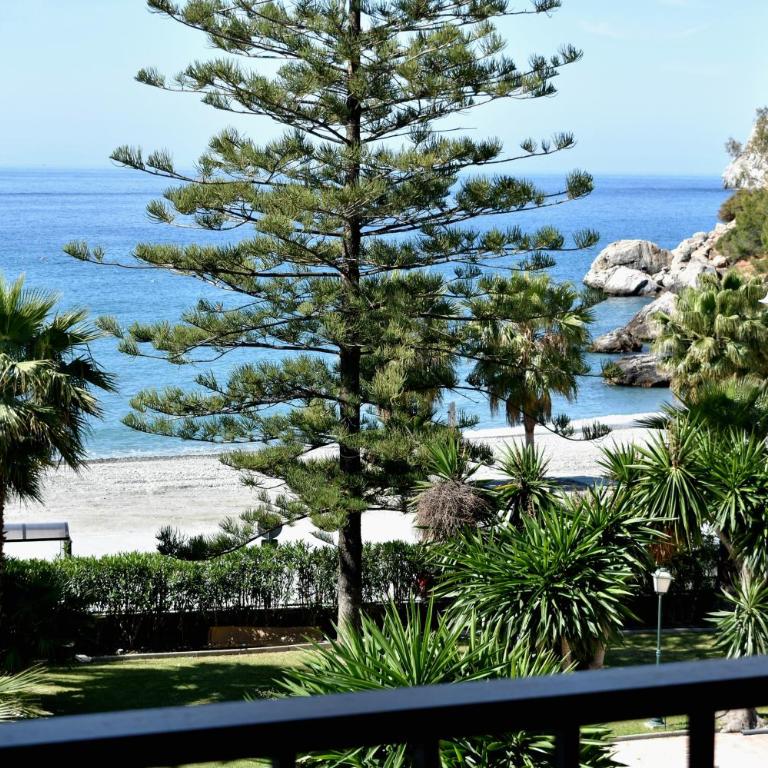 Rosa Nautica 301 - Apartment - 13
