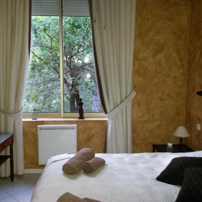 Les Gîtes Les Mayombes - Villa 1 Chambre - Vue sur Piscine - 8