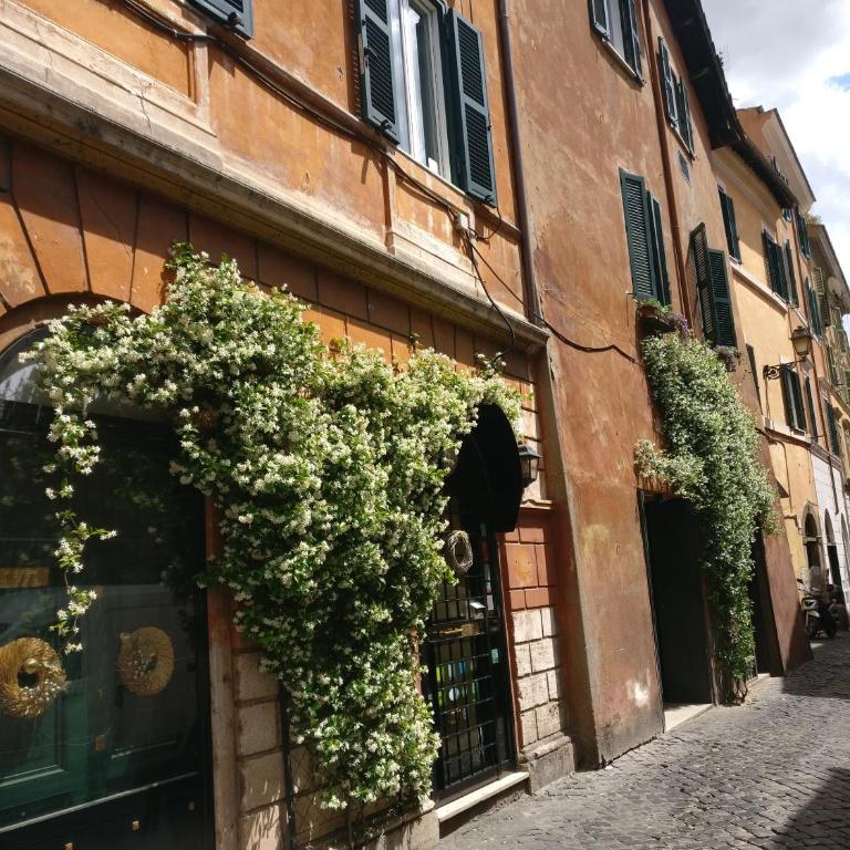 Scent Of Trastevere - Appartamento Superior - 7
