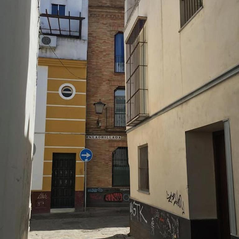 Apartamento Jardin de Santa Paula - Apartamento de 2 dormitorios - 20