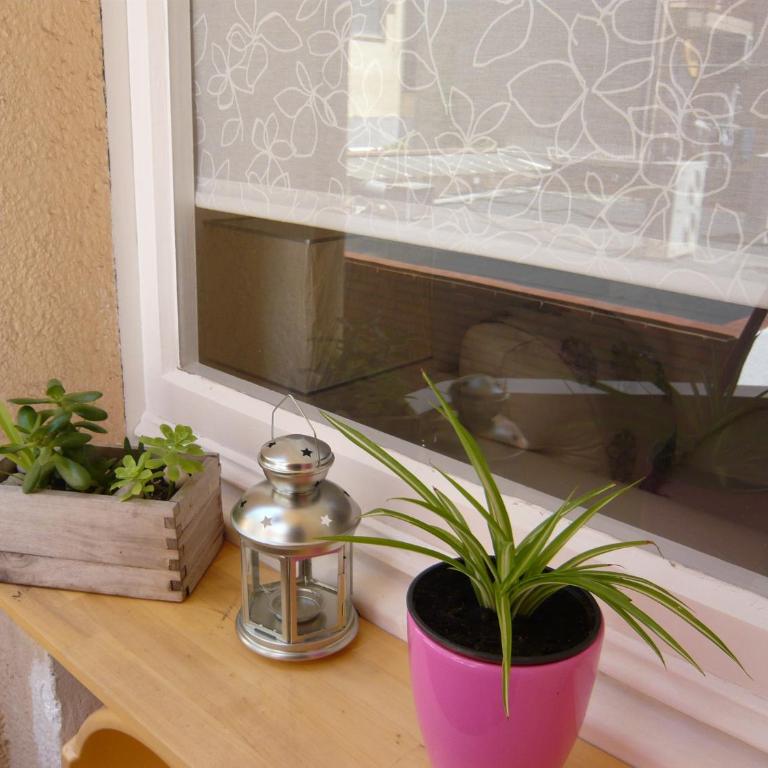Apartament Conde Güell - Apartamento de 3 dormitorios (3 adultos) - 4