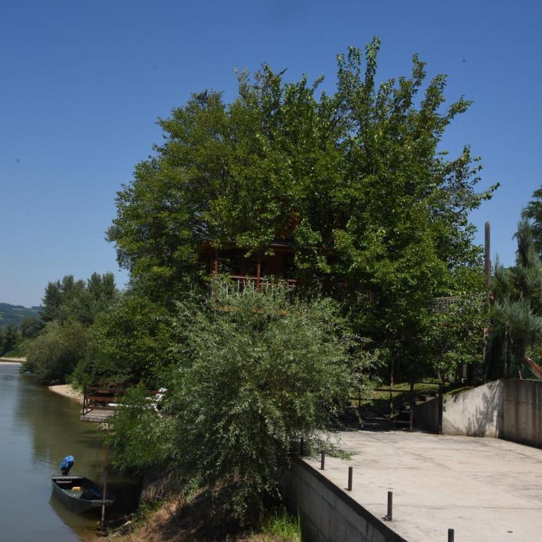 Holiday Home Kućica Na Drvetu - Kuća na Drvetu - 9