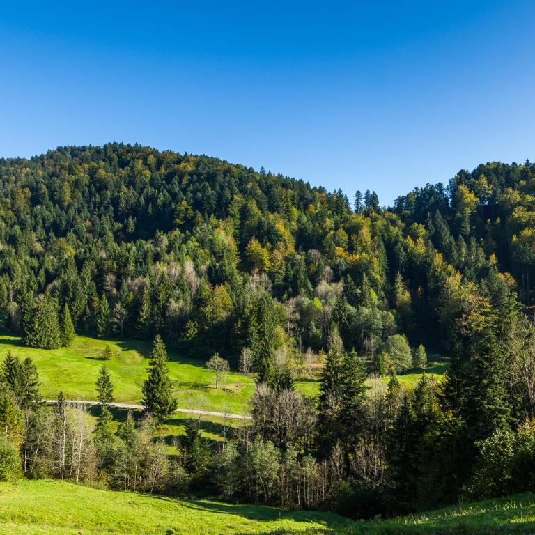 Hotel Bad Rain mit Oberstaufen PlusGolf - Deluxe Einzelzimmer mit Balkon und Bergblick - 3