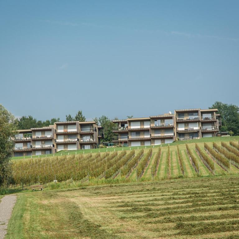 Wohnen im Wein - Superior Apartment - 2