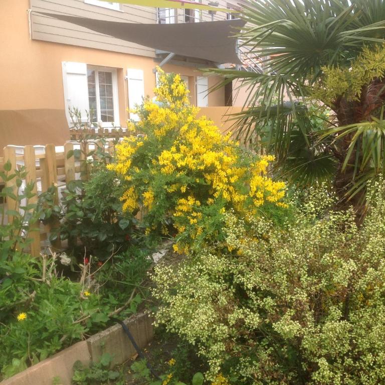 Olékaté - Apartamento - 66