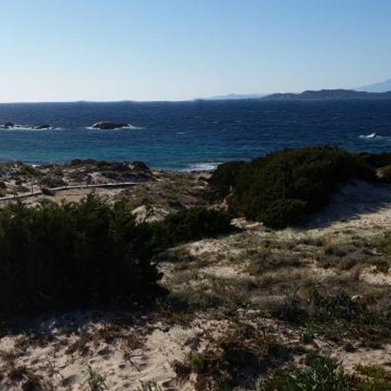 Casa vacanze della Maddalena - Casa Vacanze - 46