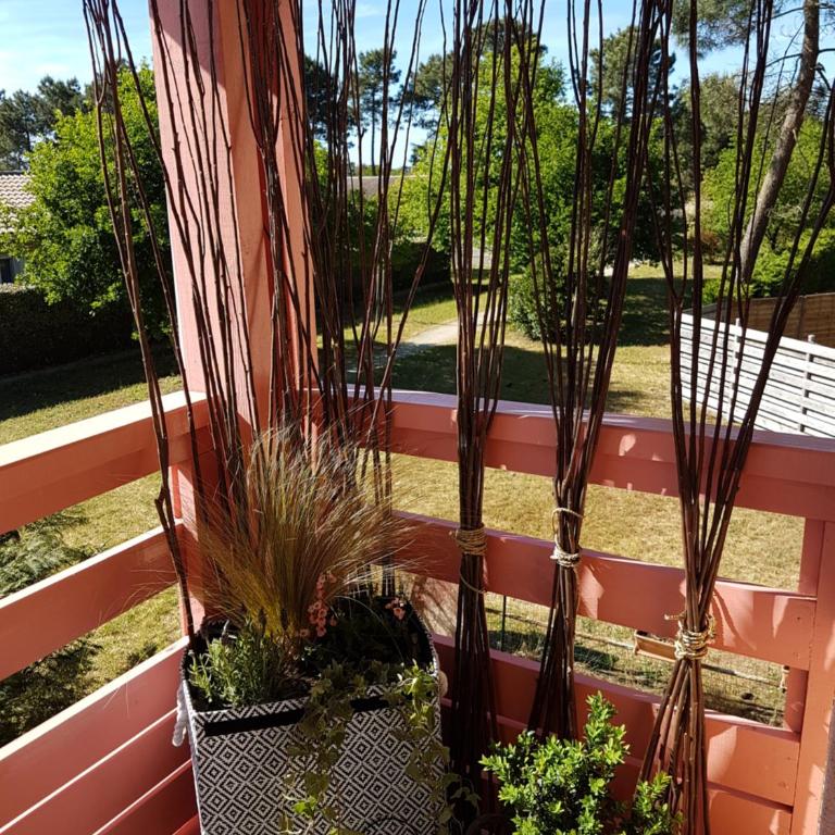 Apartment Cap Larros - Appartement avec Balcon - 38