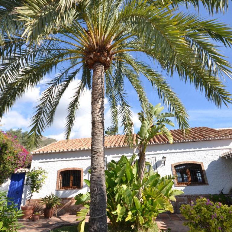 VILLA EL MOLINO Menyber - Villa con piscina privada - 43