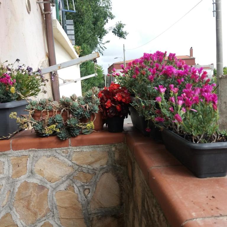 La Mia Casetta - Casa Vacanze - 2