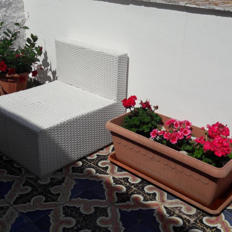 Dietro al Massimo - Camera Familiare con Terrazza - 14