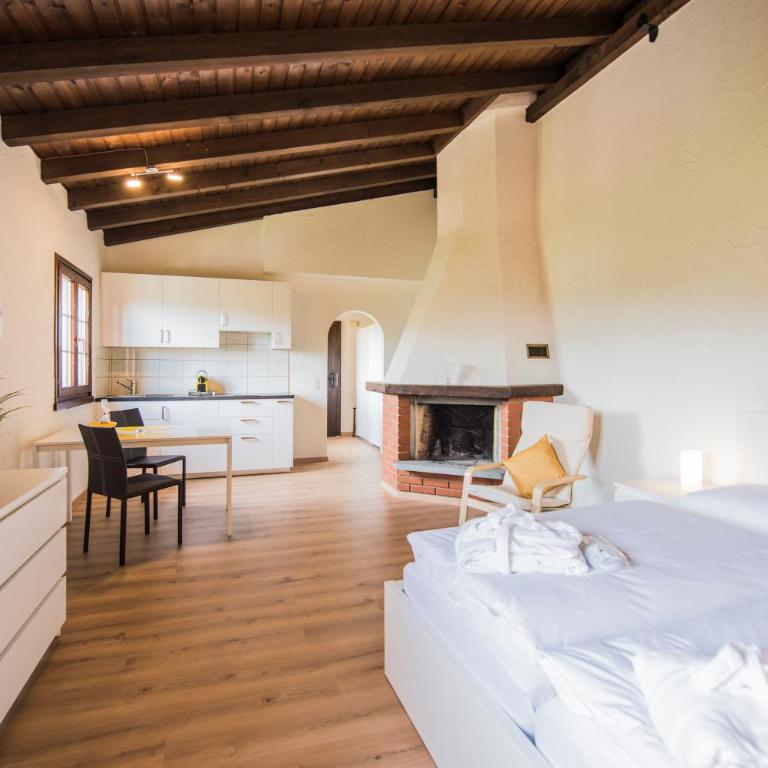 Centro Cadro Panoramica - Studio with Balcony and Air-Conditioning - 3