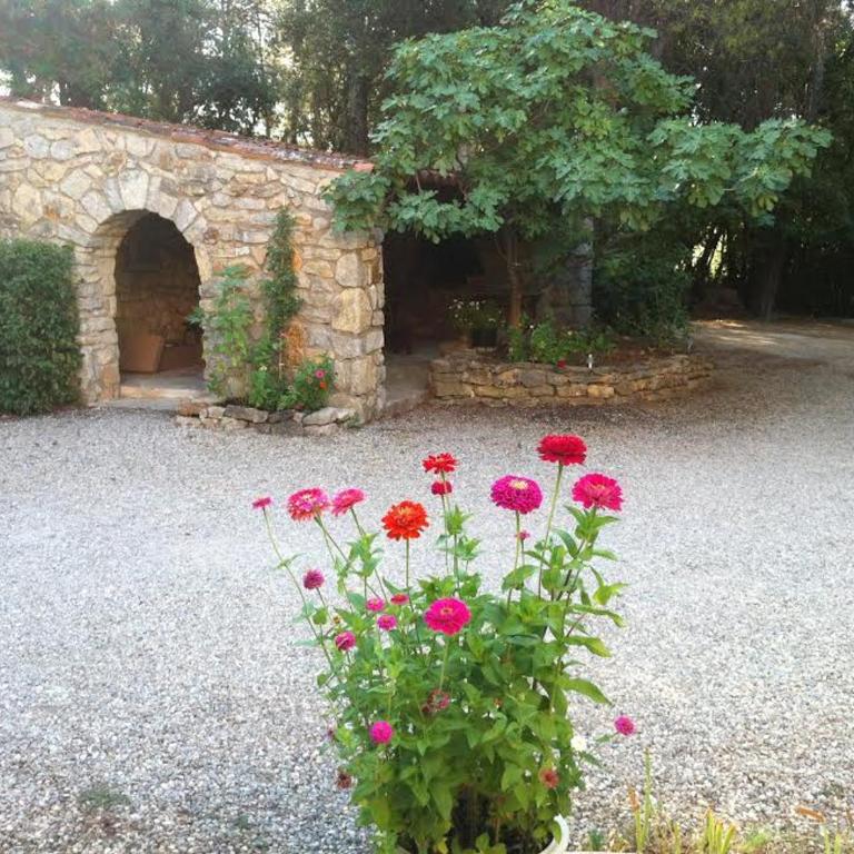 Villa Le Niaouli - Maison 3 Chambres - 17