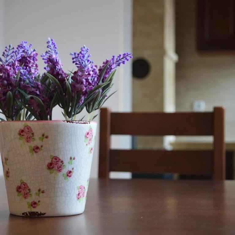 Apartmani Vila Zabljak - Villa - 7
