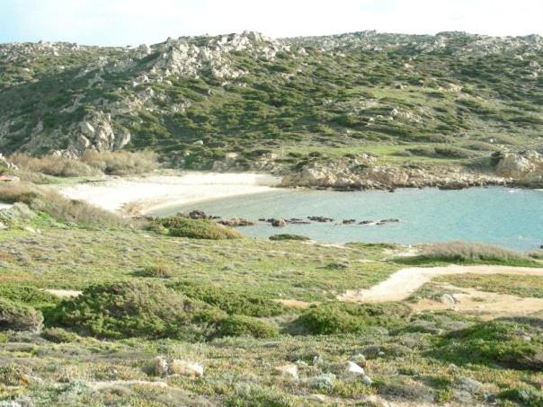 Villetta Cenni - Villa - 13