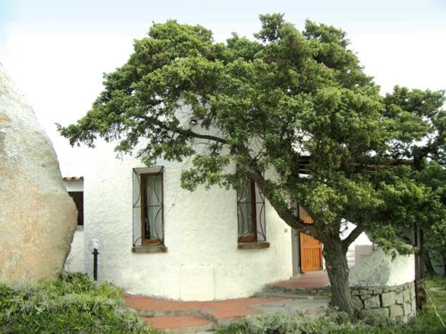 Villetta Cenni - Villa - 14