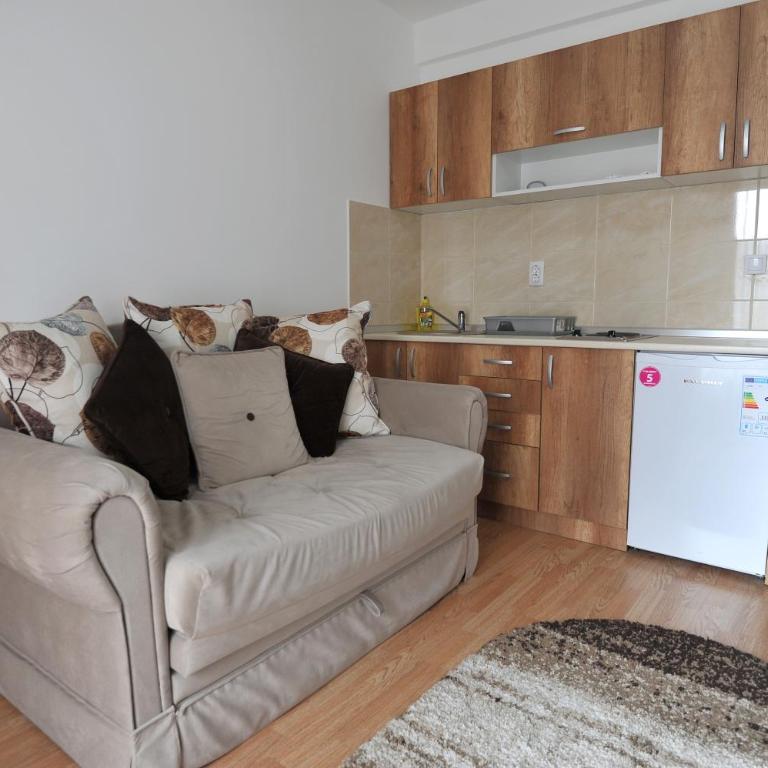 Dobricin Konak Apartmani - Apartment - Ground Floor - 8