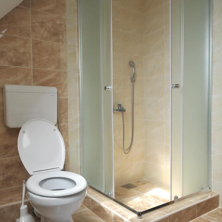 Dobricin Konak Apartmani - Penthouse Apartment - 8