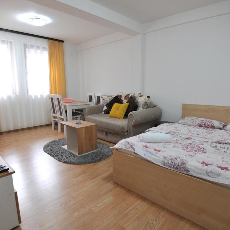 Dobricin Konak Apartmani - Studio Apartment - 7