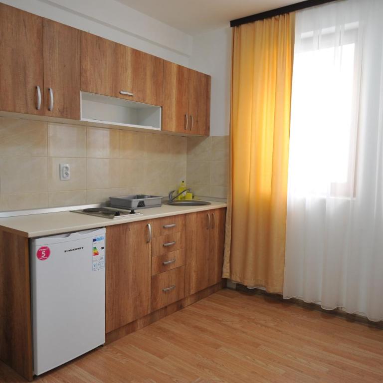 Dobricin Konak Apartmani - Studio Apartment - 3