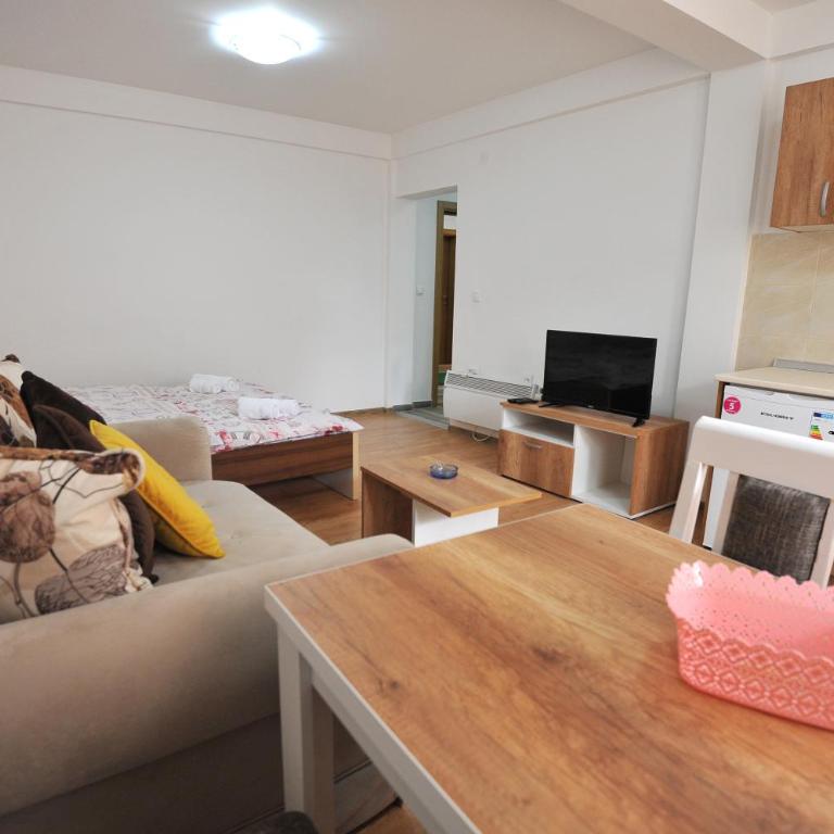 Dobricin Konak Apartmani - Studio Apartment - 2