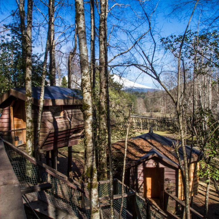 Huilo Huilo Canopy Village - Basic Bungalow with Private External Toilet (4 Adults) - 8