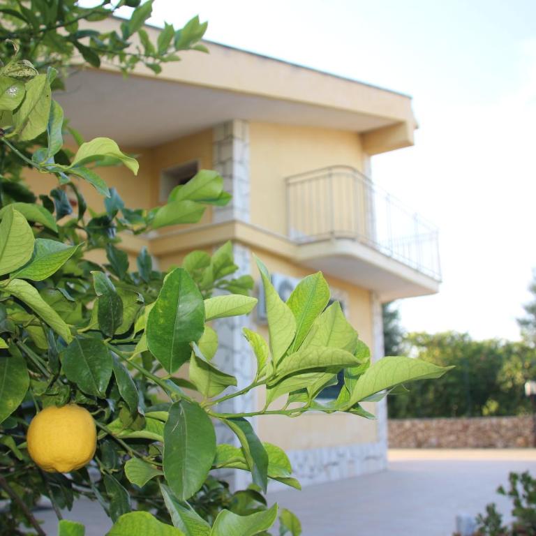 Sicilian Garden - Appartamento con 1 Camera da Letto - 16