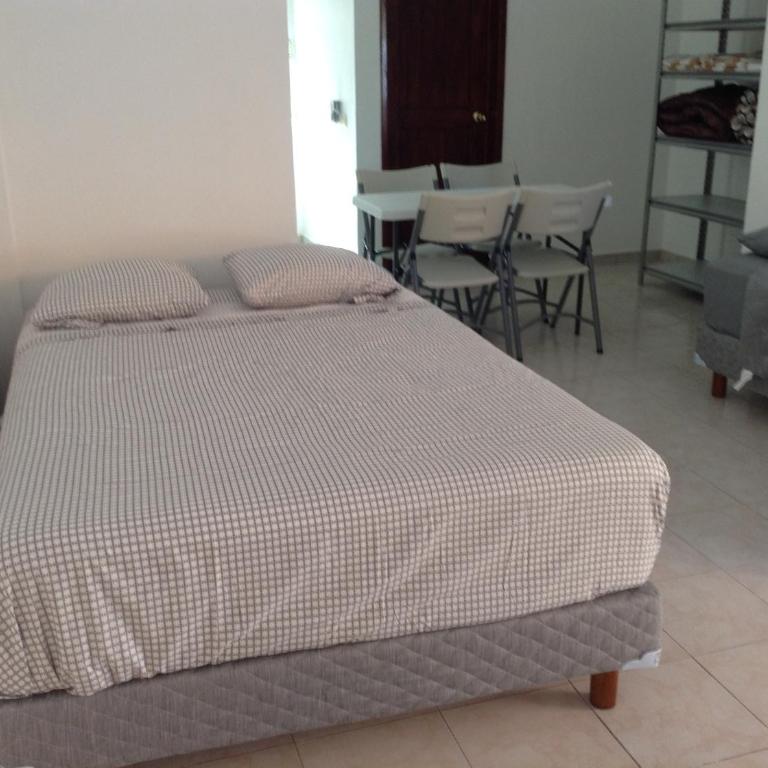 Roberto - One-Bedroom Apartment - 10