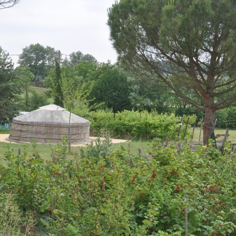 La Source, Vegetarian Guest House - Yourte - 4