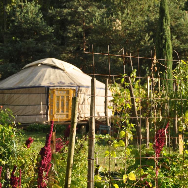La Source, Vegetarian Guest House - Yourte - 1