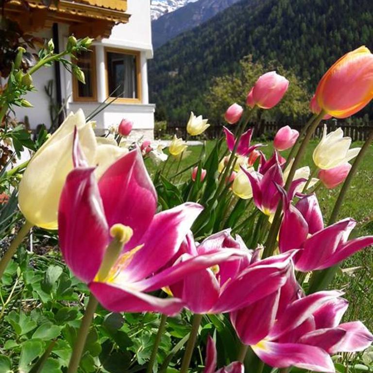 Landhaus Alpensonne - Apartment mit 2 Schlafzimmern - 4