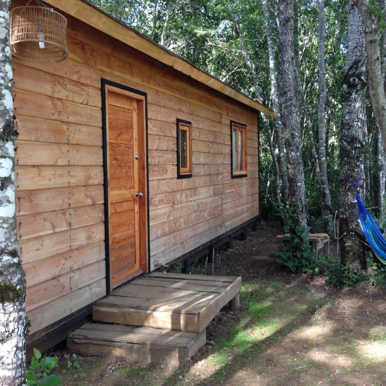 Eco-Cabañas Quetroleufu - Casa con 1 dormitorio - 4