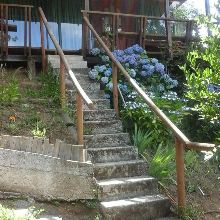 Bosque del Lago - Two-Bedroom Bungalow - 3
