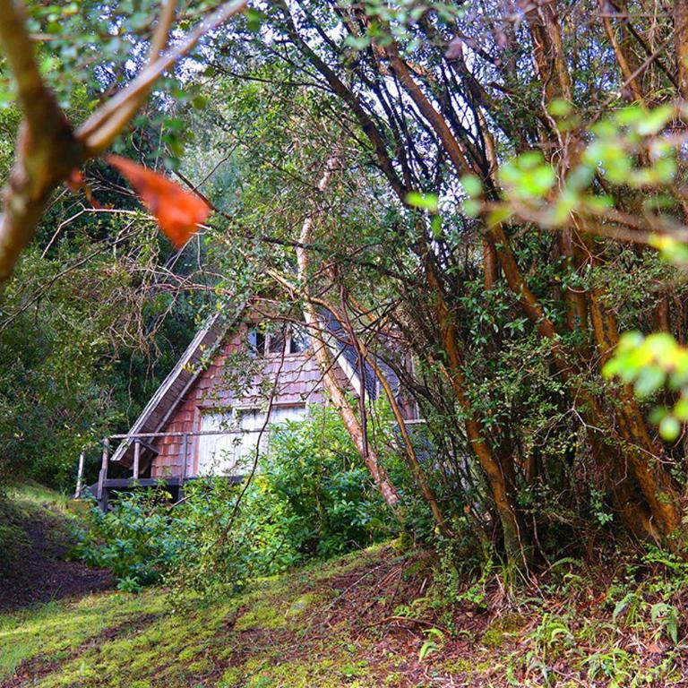 Ralun Patagonia - Family Bungalow - 1