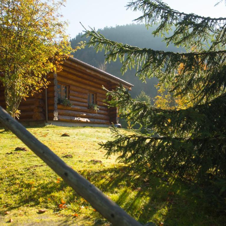 Le Couarôge Chalets et Appartements - Chalet con 4 dormitorios (12 personas) - 7